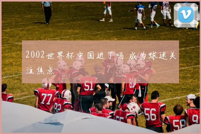 2002世界杯中国进了吗 成为球迷关注焦点